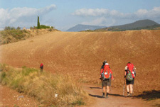 Spain-Galicia-Camino - French Route F2
